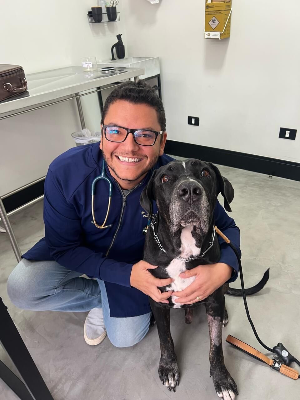 Atendimento a um cão de grande porte