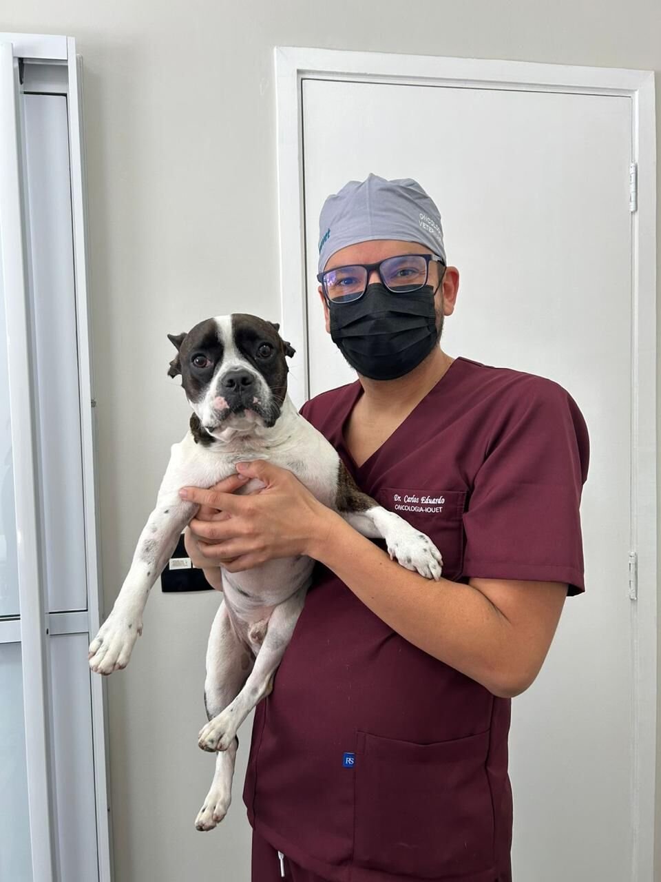 Paciente no colo do veterinário